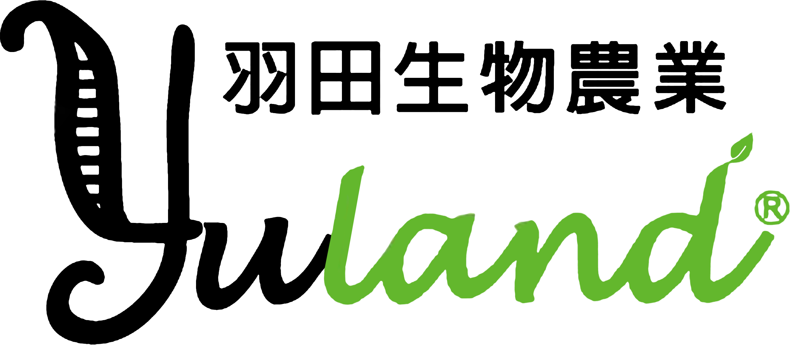 Partner Logo 18